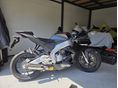 APRILIA RS 50 2014/5 - 3