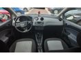 SEAT IBIZA 2013/2 - 8