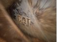 CATERPILLAR 2007 - 7