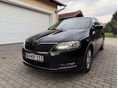SKODA RAPID 1.6 CR TDI Ambition