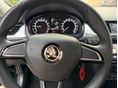 SKODA RAPID 2017/7 - 8