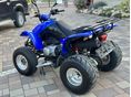 KYMCO KXR 250 2007/4 - 4