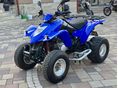 KYMCO KXR 250 2007/4 - 5