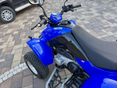 KYMCO KXR 250 2007/4 - 7