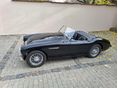 AUSTIN-HEALEY 100 1956 - 3
