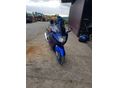 HONDA CBR 1100 XX 2001/6 - 2