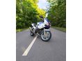 SUZUKI SV 650 S 2001/7 - 5