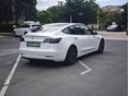 TESLA MODEL 3 2021/9 - 6