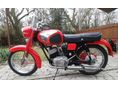 PANNONIA P20 