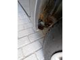 HONDA JAZZ 2009/1 - 7