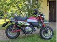 HONDA Z 125 MONKEY 2020/6 - 2