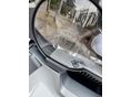 BMW R 1200 GS 2015/4 - 5
