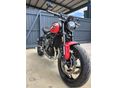 TRIUMPH TRIDENT 2025/7 - 7