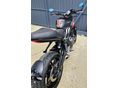 TRIUMPH TRIDENT 2025/7 - 12