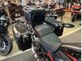HARLEY-DAVIDSON CVO 2024/5 - 4