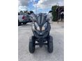 QUADRO QV4 2019/3 - 2