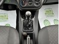 FIAT PUNTO 2007/7 - 19