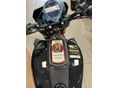 INDIAN FTR 2024/5 - 6