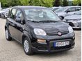 FIAT PANDA 2025/6 - 1