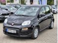 FIAT PANDA 2025/6 - 2