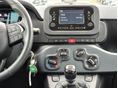FIAT PANDA 2025/6 - 11