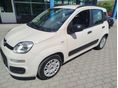 FIAT PANDA 2012/11 - 2