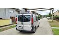 RENAULT TRAFIC 2008 - 3