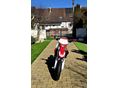 HONDA CRF 450 R 2016/3 - 5