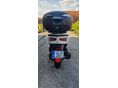 HONDA FORZA 300 2015/12 - 4