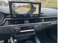 AUDI RS5 2022/2 - 24