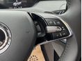 SKODA ENYAQ 2021/4 - 13