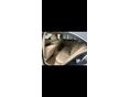 MERCEDES-BENZ CLS 350 2014/11 - 5