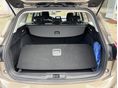 FORD FOCUS 2019/8 - 8