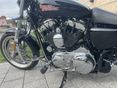 HARLEY-DAVIDSON SPORTSTER 1200 CUSTOM 2019/8 - 6