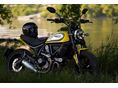 DUCATI SCRAMBLER 2022/10 - 8