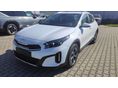 KIA XCEED 2026/5 - 4