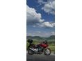 HONDA CBF 600 2006 - 7