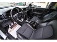 KIA SPORTAGE 2019/9 - 17