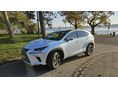 LEXUS NX 300h Luxury CVT AWD. Panoráma tető. MARK LEWINSON. üléshűtésszellőztetés. vonóhorog