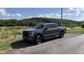 FORD F 150 2021/3 - 4