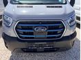 FORD TRANSIT 2026 - 2