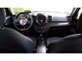 MINI COUNTRYMAN 2019/6 - 2