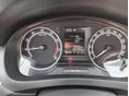 SKODA RAPID 2019/1 - 8
