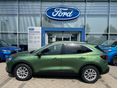FORD KUGA 2026 - 5