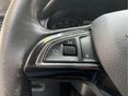 SKODA OCTAVIA 2014/6 - 19