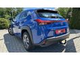 LEXUS UX 2020/12 - 10