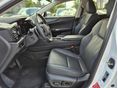 LEXUS NX 2024/12 - 7