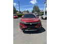 SUZUKI S-CROSS 2025 - 2