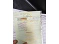 HONDA PANTHEON 150 2005/5 - 17