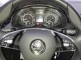 SKODA SCALA 2023/11 - 4